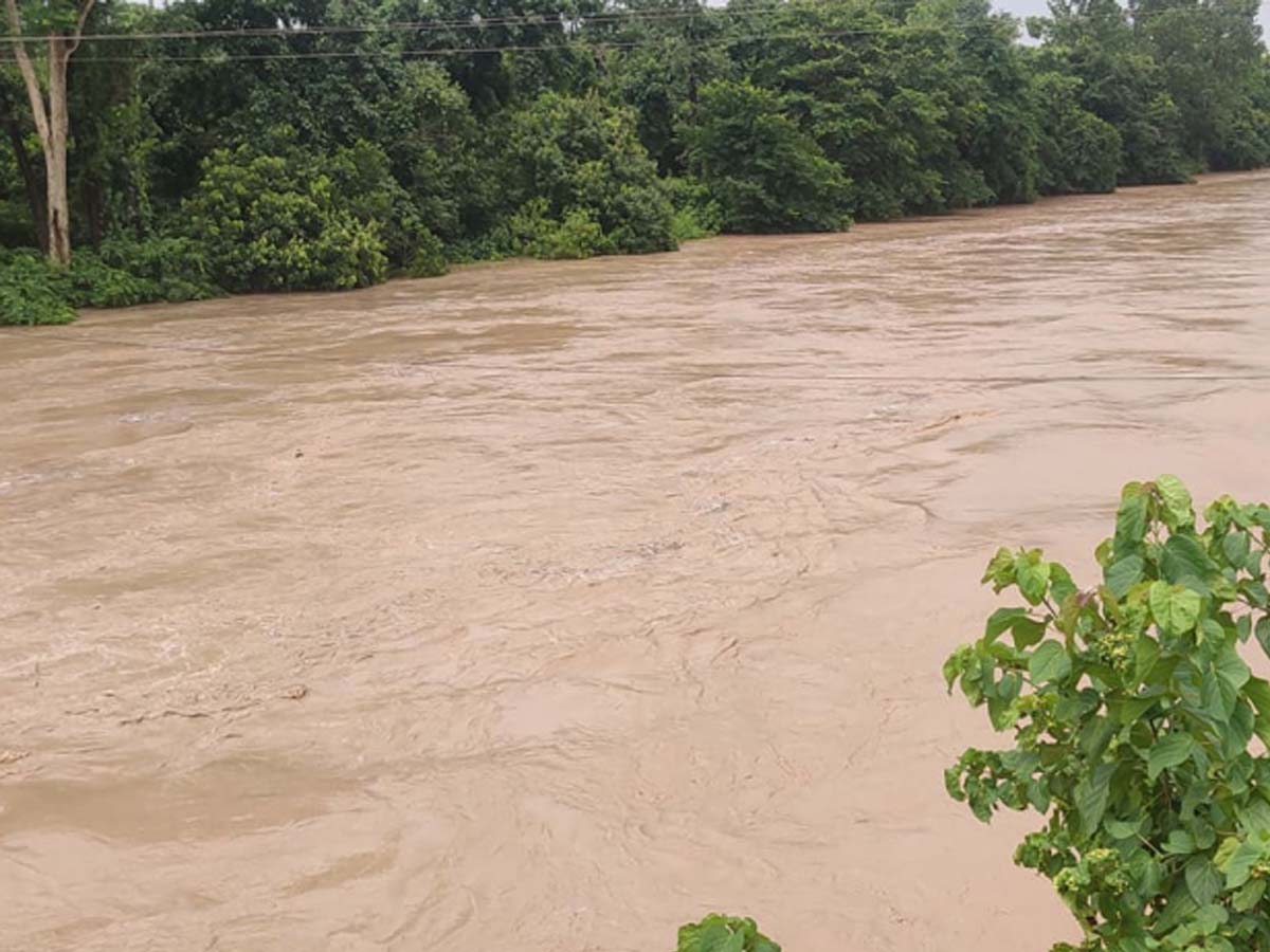 कैलालीको मोहना नदीले खतराको तह पार गर्यो, सतर्क रहन आग्रह 